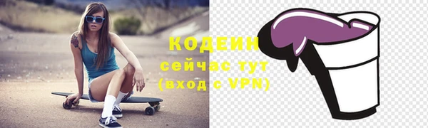 мдпв Горно-Алтайск
