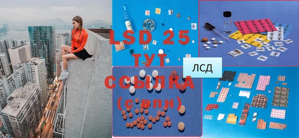 ГАЛЛЮЦИНОГЕННЫЕ ГРИБЫ Горняк