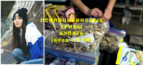 СК Медвежьегорск