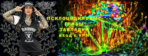 PSILOCYBIN Вязьма