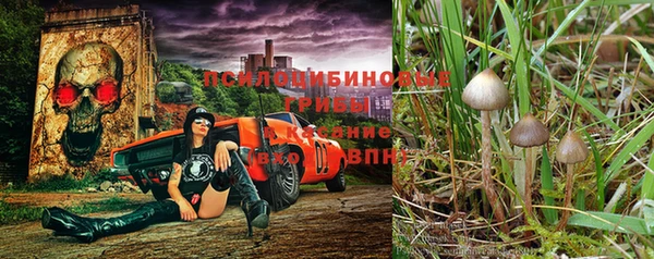 ГАЛЛЮЦИНОГЕННЫЕ ГРИБЫ Горняк