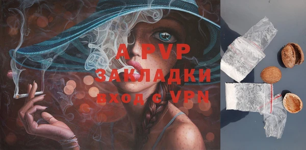 мдпв Горно-Алтайск