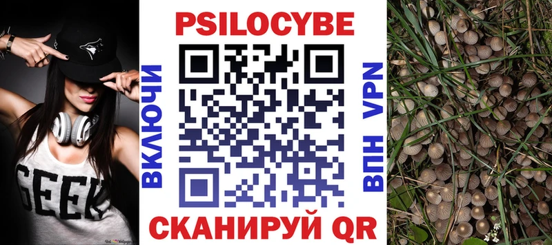 Псилоцибиновые грибы Psilocybe  где продают   Гусь-Хрустальный 