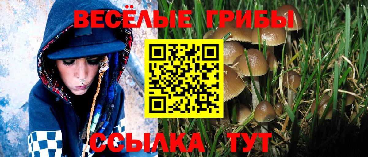 Галлюциногенные грибы MAGIC MUSHROOMS  Гусь-Хрустальный 